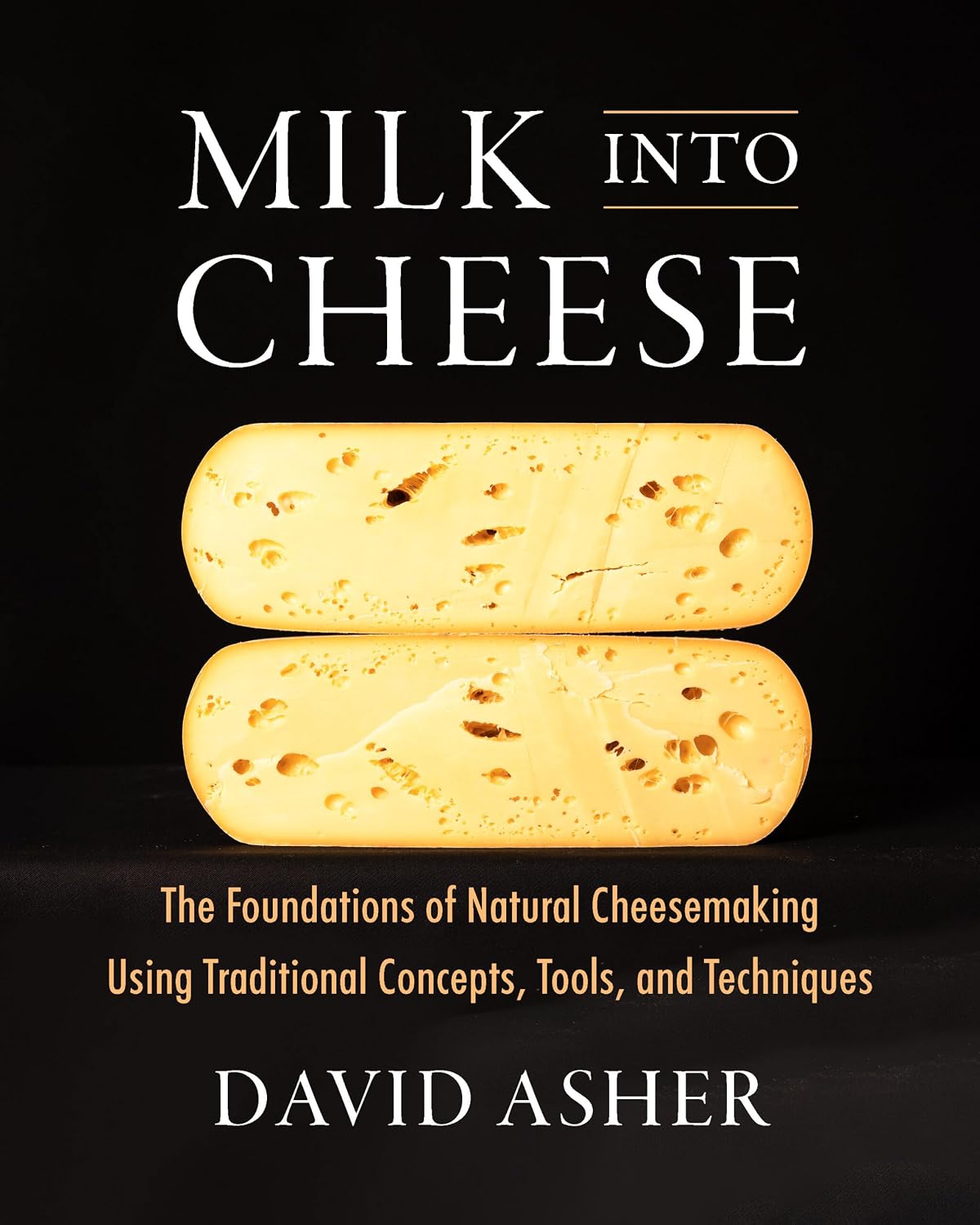 ler totalmente Milk Into Cheese: The Foundations of Natural Cheesemaking Using Traditional Concepts, Tools, and Techniques