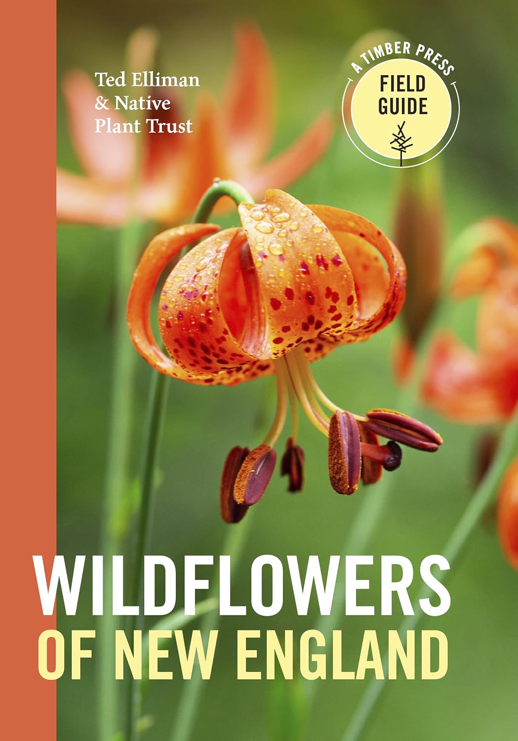 Wildflowers of New England (A Timber Press Field Guide) (English Edition) baixar livro de graça