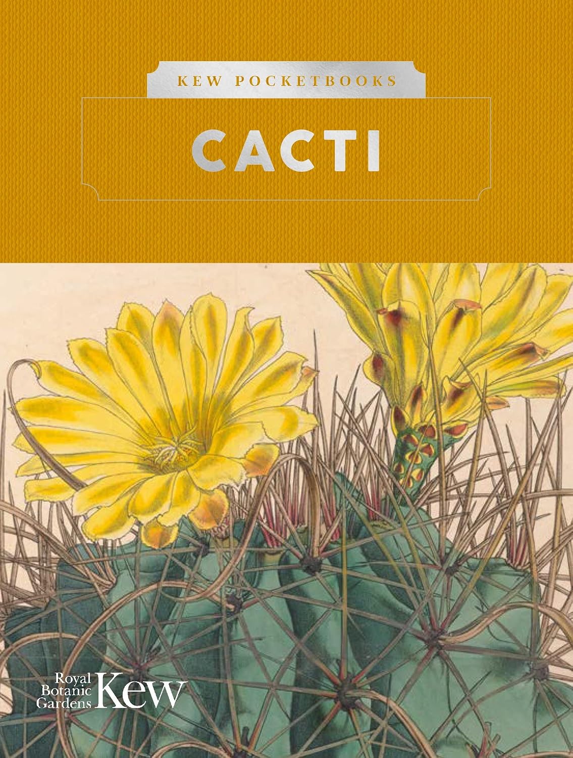 Kew Pocketbooks: Cacti baixar livro de graça