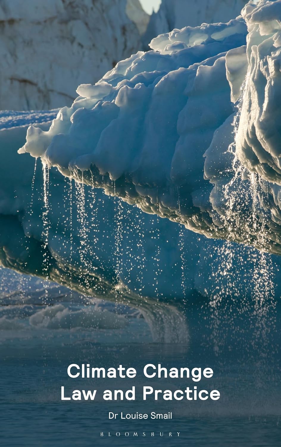 Climate Change Law and Practice (English Edition)