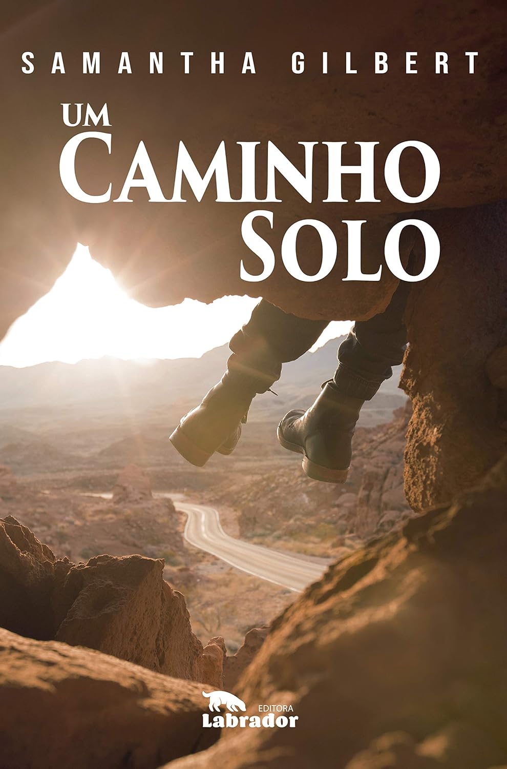Um caminho solo baixar livro de graça