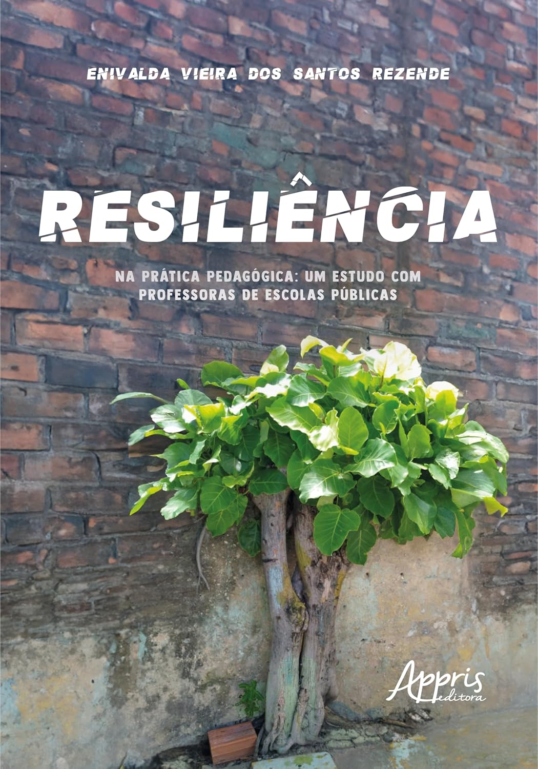 ler totalmente Resiliência na Prática Pedagógica: Um Estudo com Professoras de Escolas Públicas