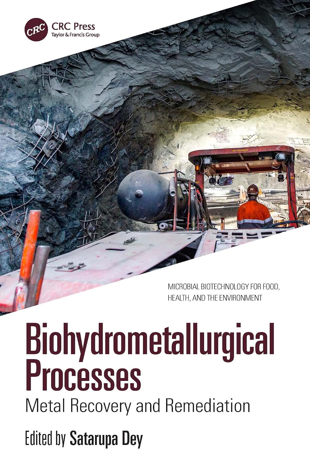 ler totalmente Biohydrometallurgical Processes: Metal Recovery and Remediation (Microbial Biotechnology for Food, Health, and the Environment) (English Edition)