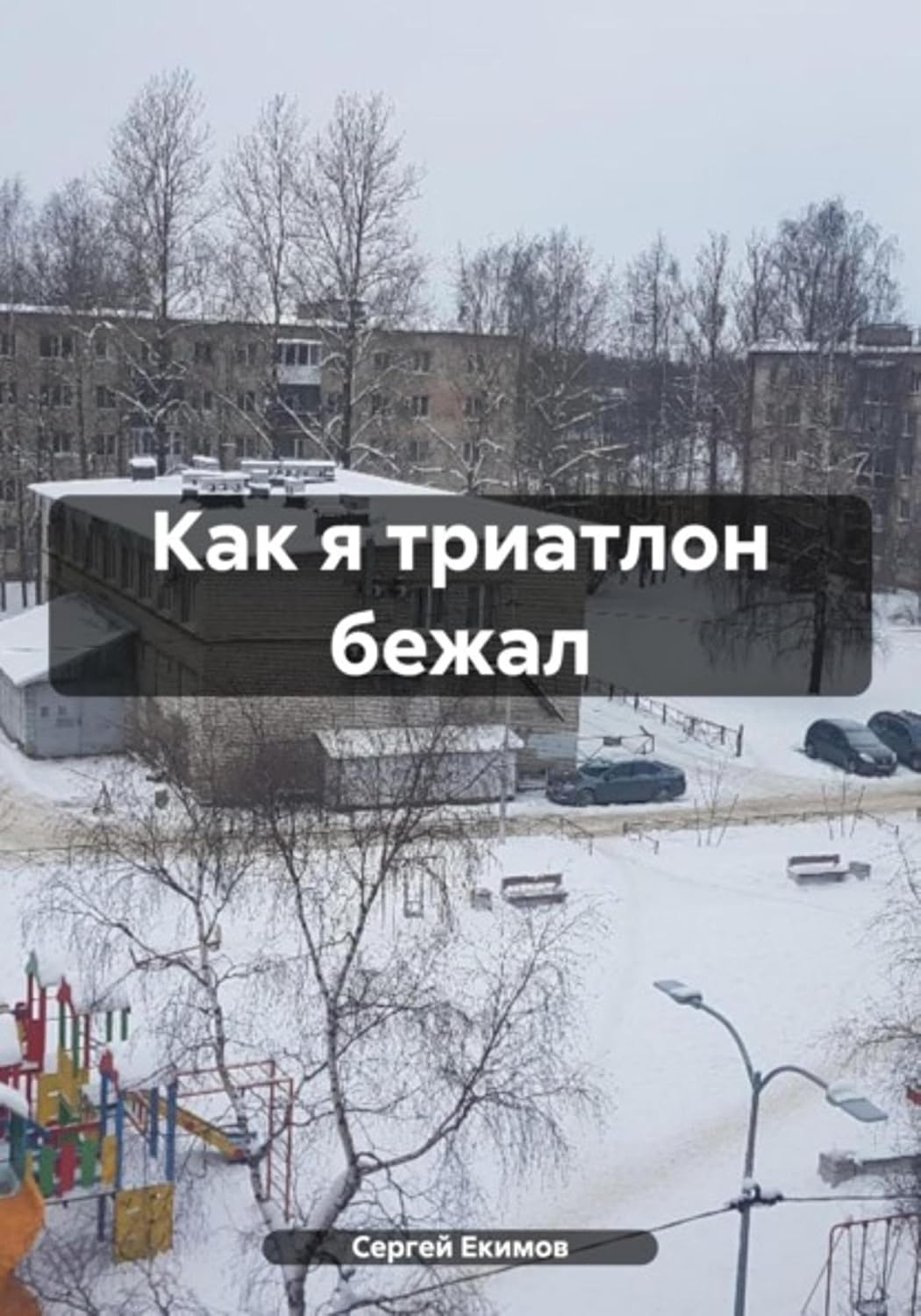 Как я триатлон бежал (Russian Edition) baixar livro de graça
