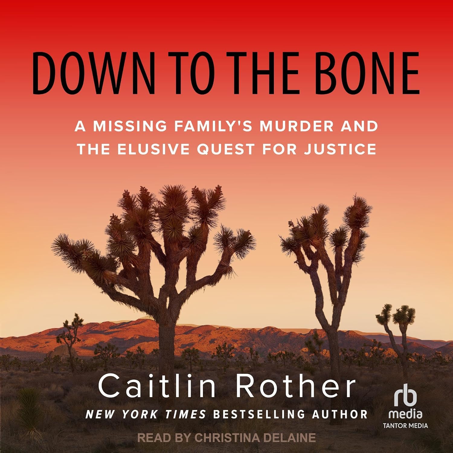 Down to the Bone: A Missing Family's Murder and the Elusive Quest for Justice baixar o livro de graça
