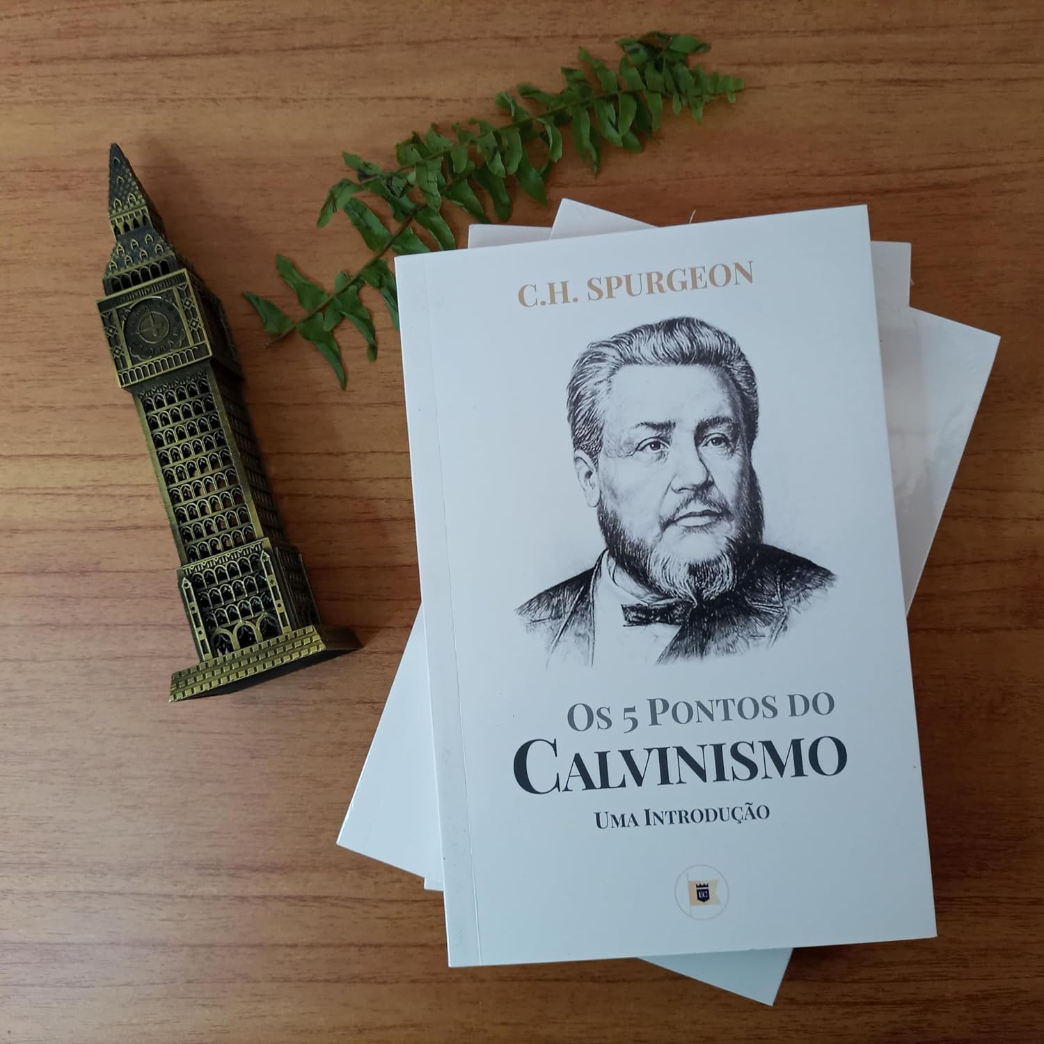 5 Pontos do Calvinismo: Uma Introdução baixar o livro de graça