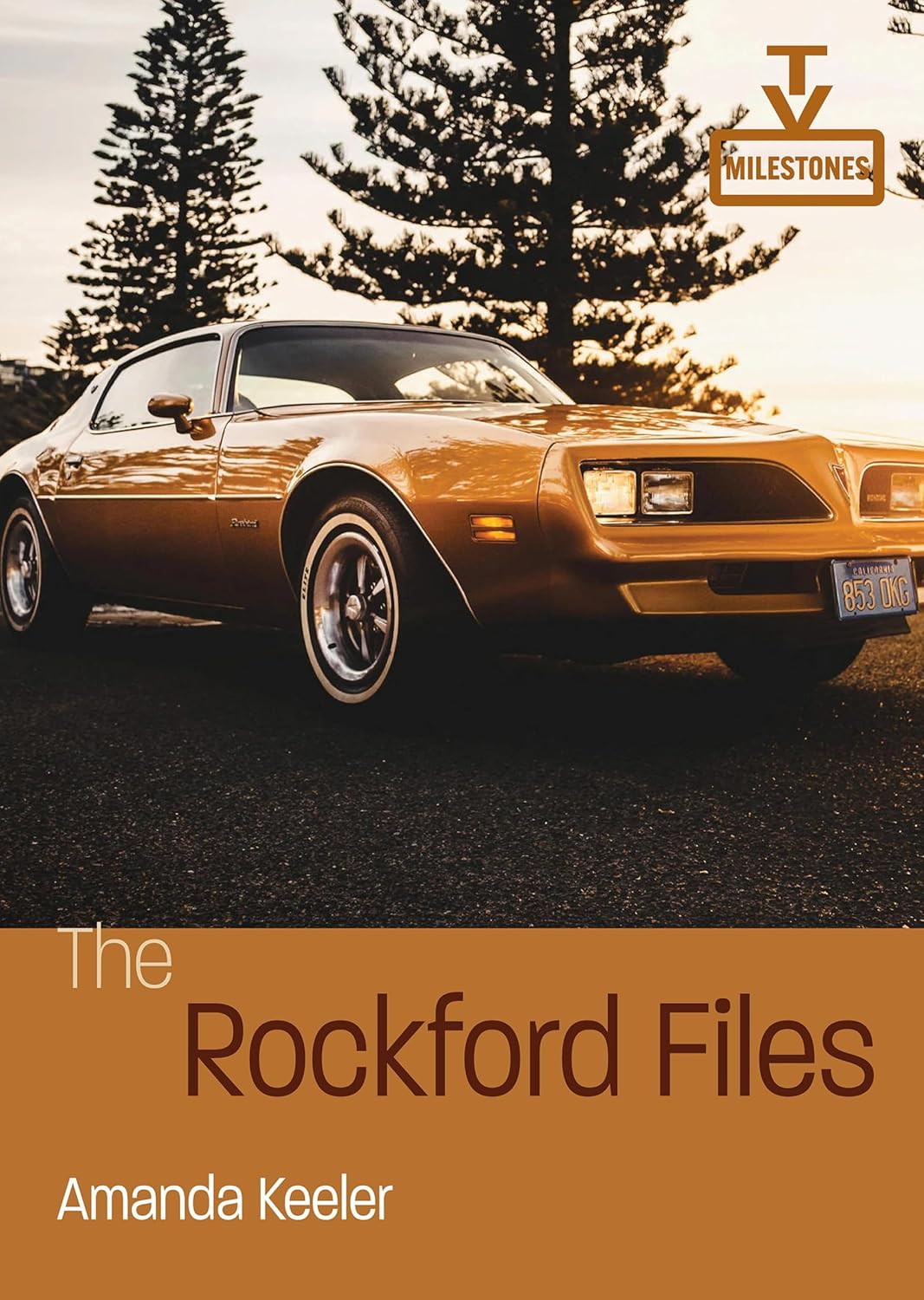 The Rockford Files (TV Milestones) (English Edition) baixar livro de graça