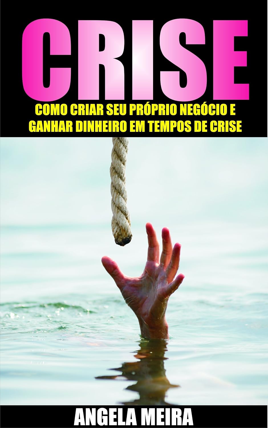 ler totalmente Crise: Como Criar o Seu Próprio Negócio e Ganhar Dinheiro em Tempos de Crise (Empreendedorismo, Liberdade Financeira, Sucesso)
