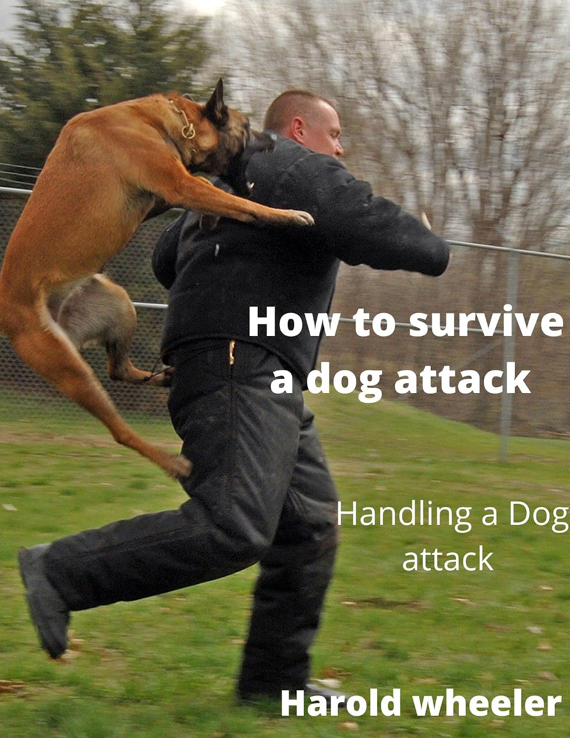 ler totalmente How to survive a dog attack: Handling a Dog attack (English Edition)