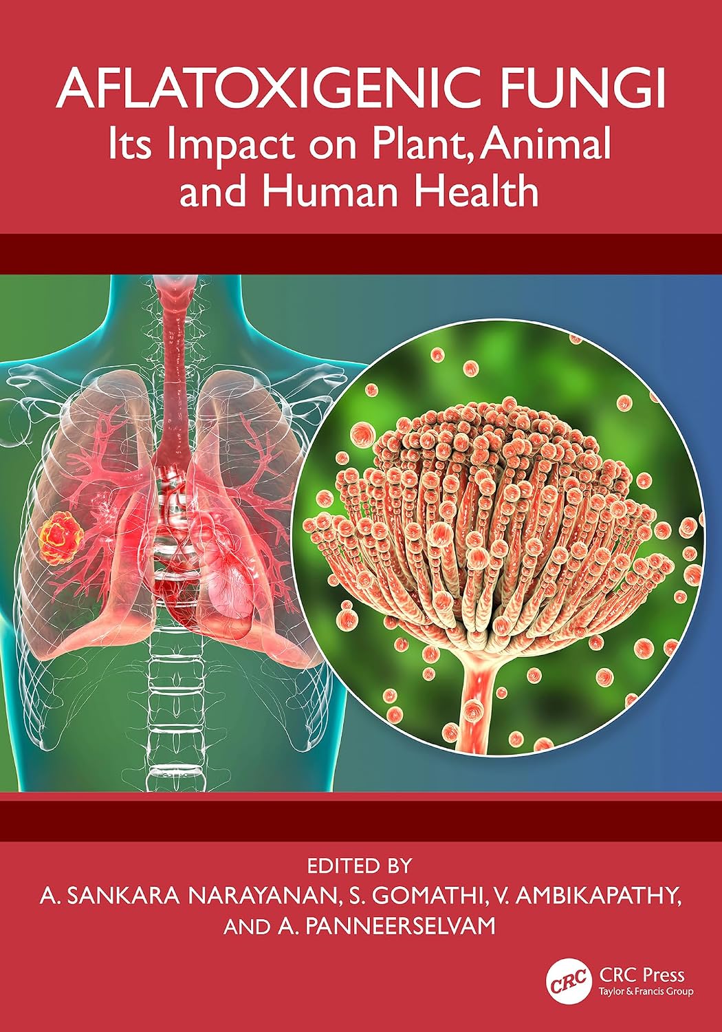 Aflatoxigenic Fungi: Its Impact on Plant, Animal and Human Health (English Edition) baixar o livro de graça