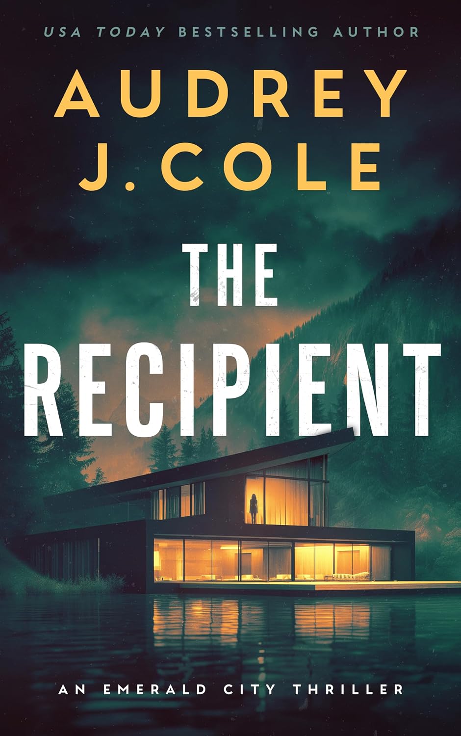 ler totalmente The Recipient: A completely addictive and pulse-pounding thriller with a killer twist (Emerald City Thriller Book 1) (English Edition)