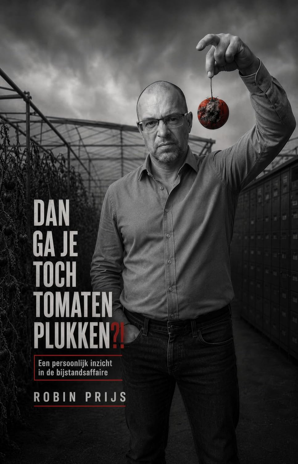 Dan ga je toch tomaten plukken?!: Een persoonlijk inzicht in de bijstandsaffaire (Dutch Edition) baixar livro de graça