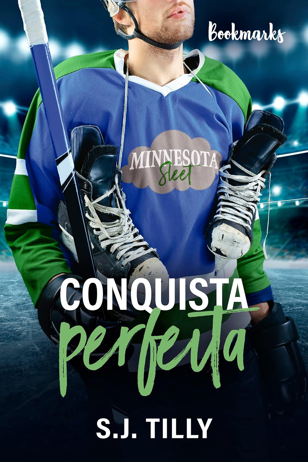 ler totalmente Conquista perfeita (Sleet Livro 1)