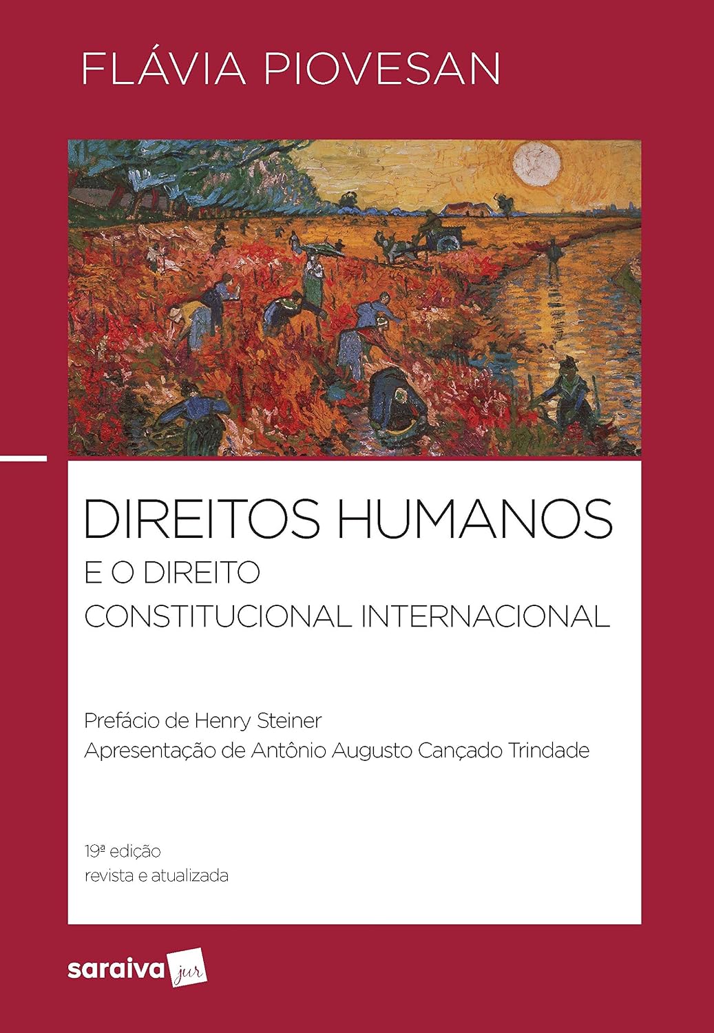 Direitos Humanos e o Direito Constitucional Internacional baixar livro de graça