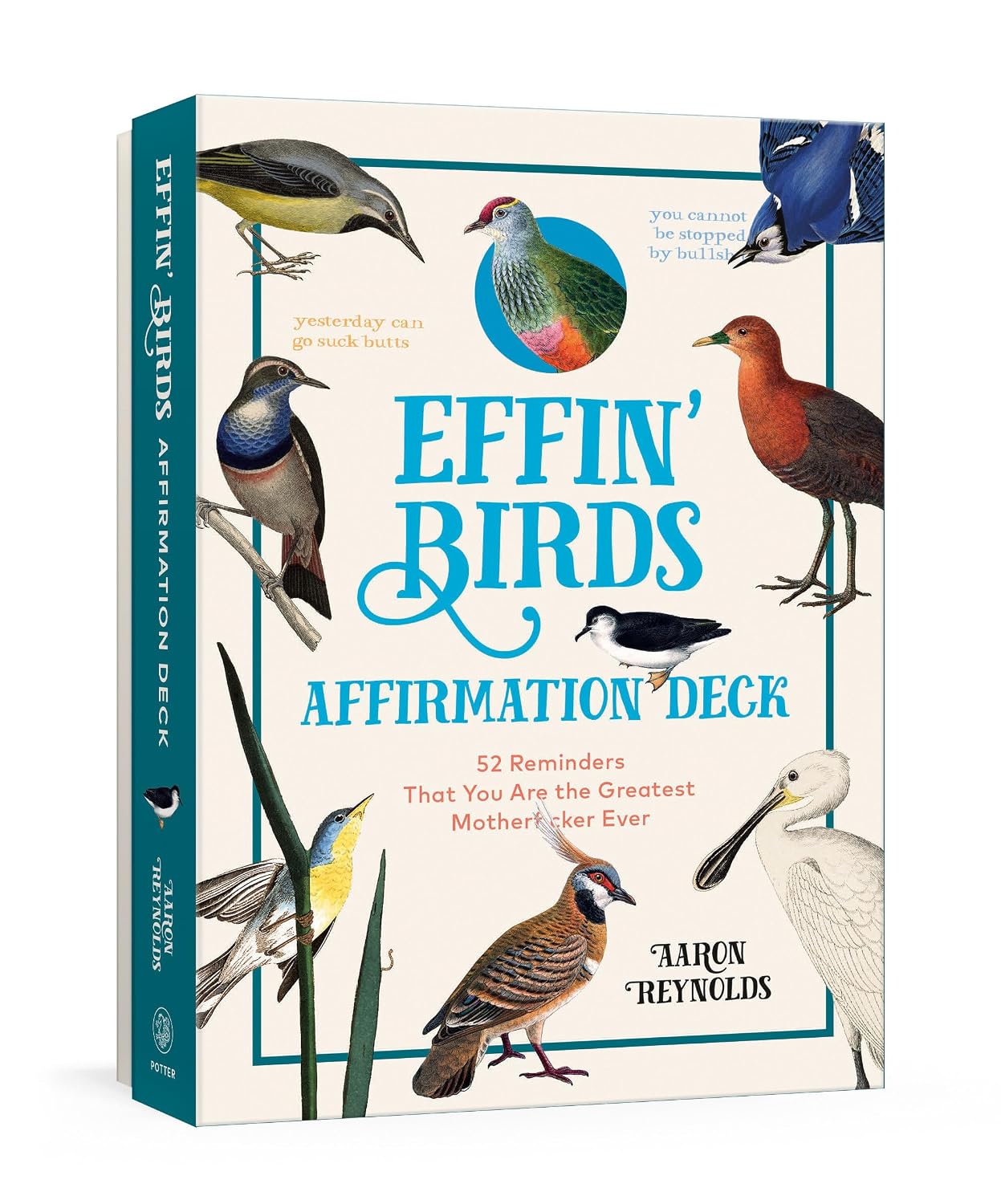 Effin' Birds Affirmation Deck: 52 Reminders That You Are the Greatest Motherf*cker Ever (Affirmation Cards) baixar o livro de graça