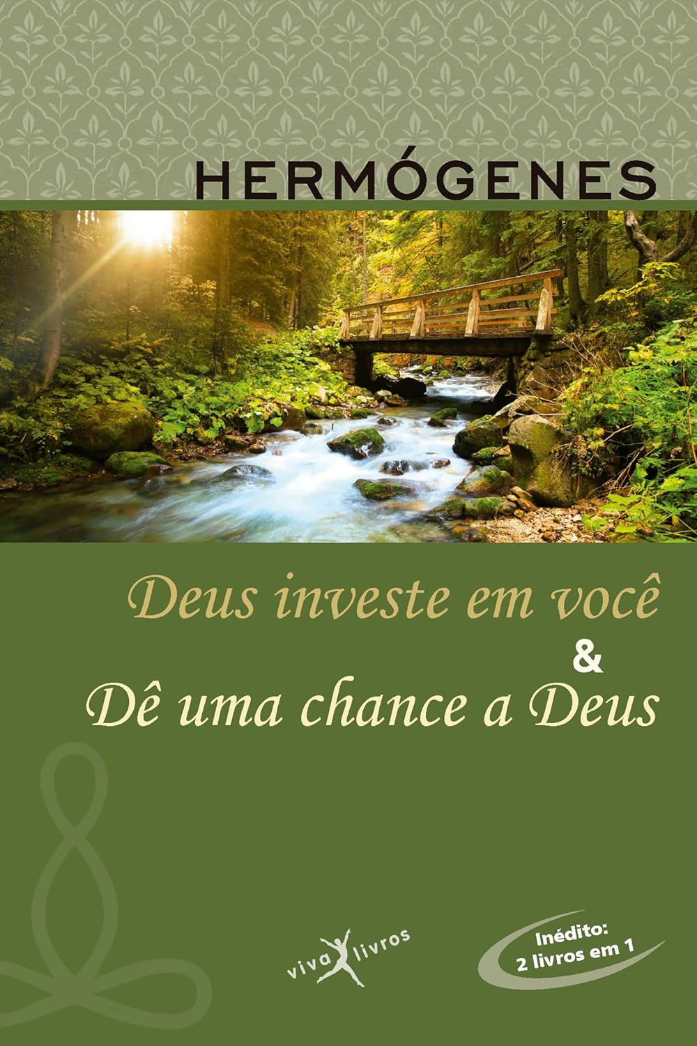 Deus investe em você & Dê uma chance a Deus (edição vira-vira) baixar livro de graça