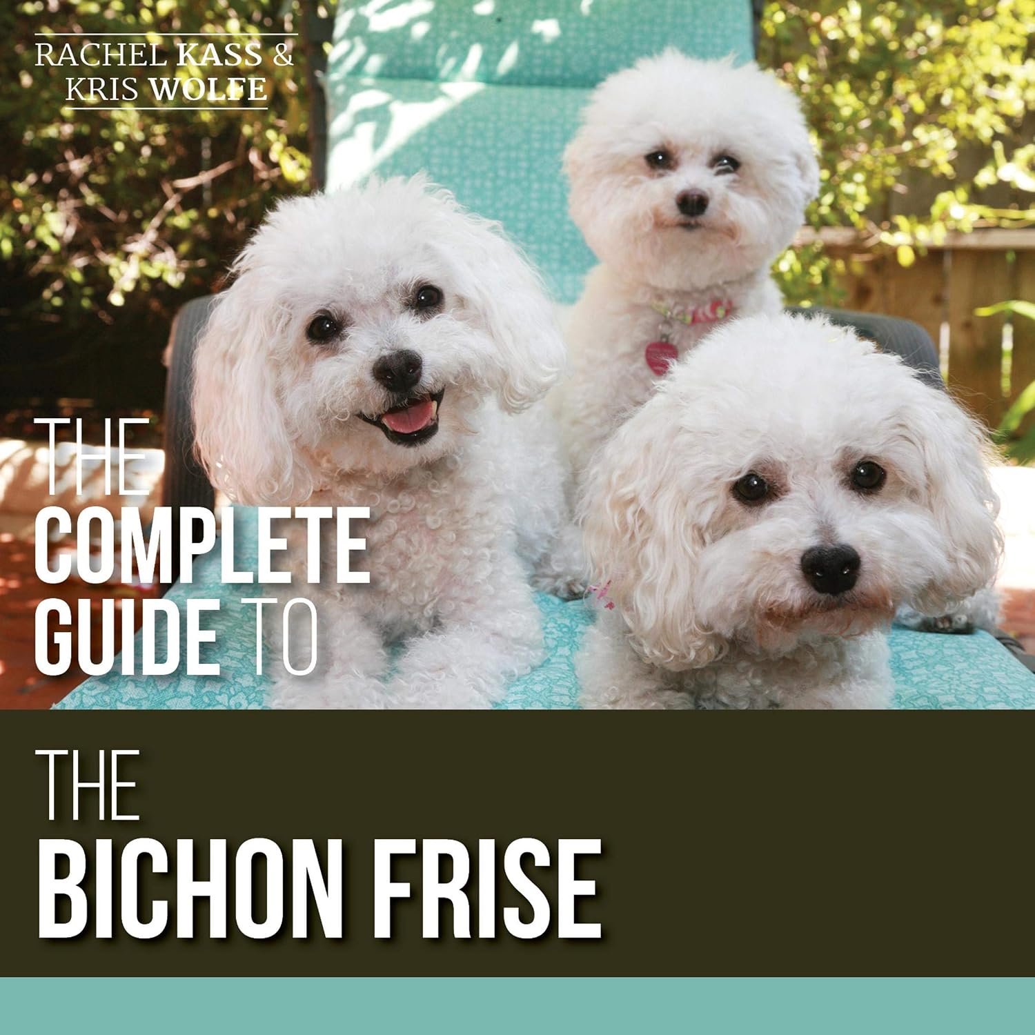 ler totalmente The Complete Guide to the Bichon Frise