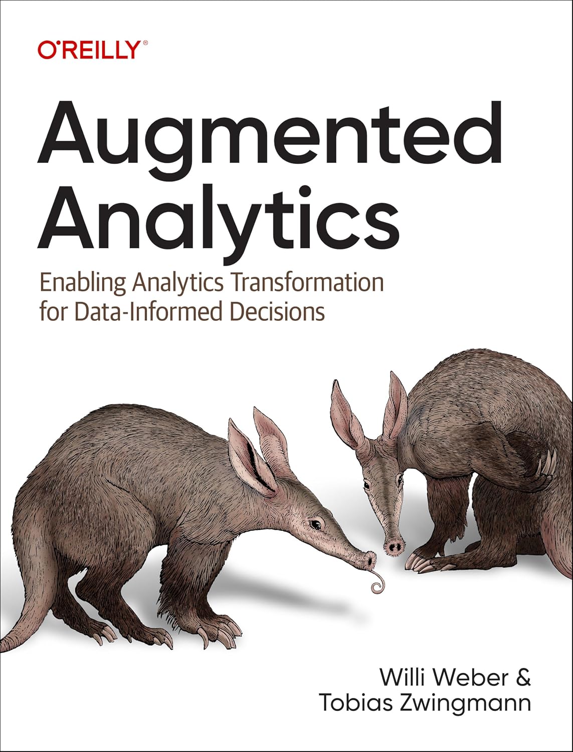 Augmented Analytics: Enabling Analytics Transformation for Data-Informed Decisions baixar o livro de graça