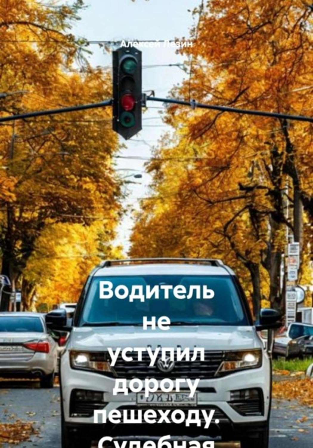 Водитель не уступил дорогу пешеходу. Судебная практика кассационных судов (Russian Edition) baixar livro de graça