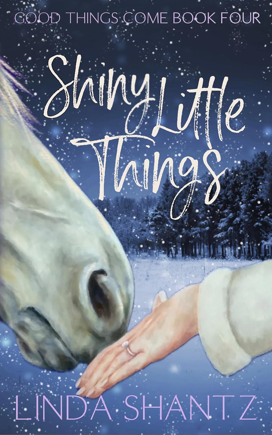 Shiny Little Things: A cozy small town holiday happily ever after (Good Things Come Book 8) (English Edition) baixar livro de graça