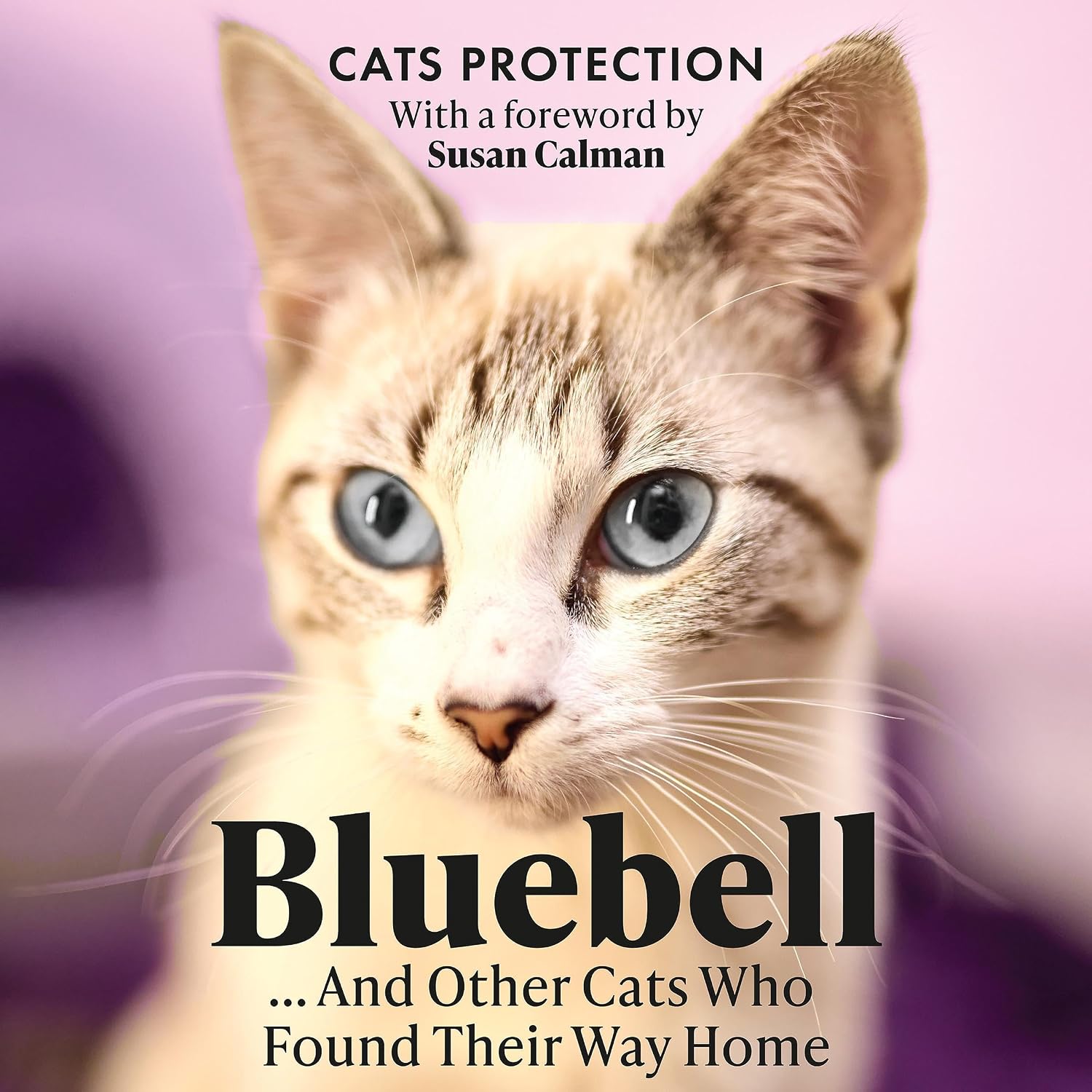 ler totalmente Bluebell... And Other Cats Who Found Their Way Home: The perfect gift for cat lovers