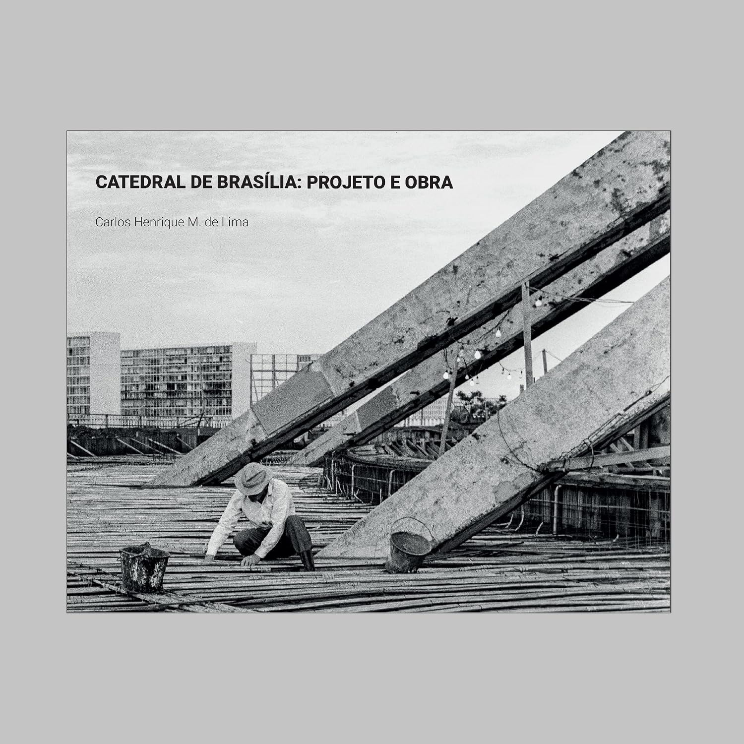 ler totalmente Catedral de Brasília: projeto e obra