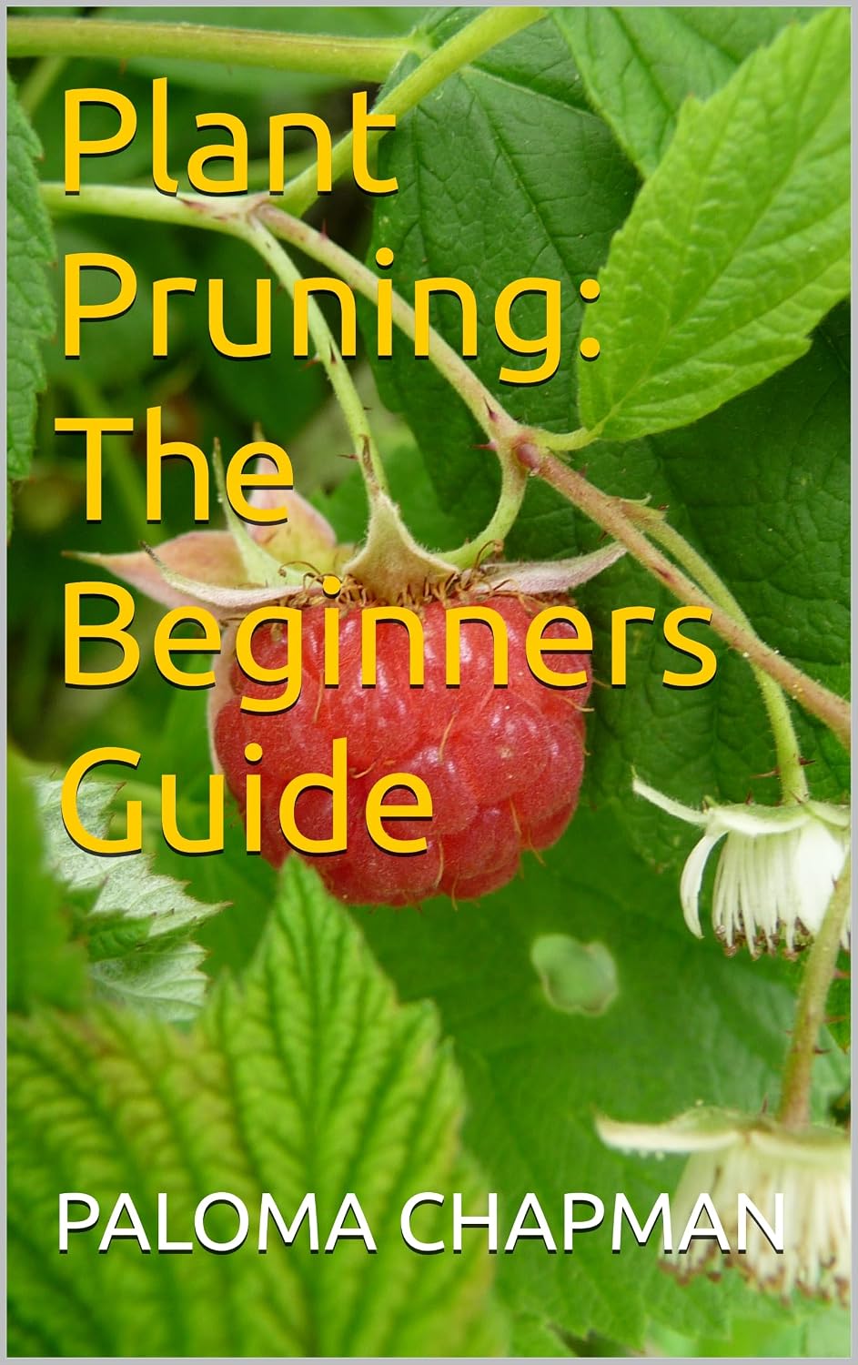Plant Pruning: The Beginners Guide (English Edition) baixar livro de graça