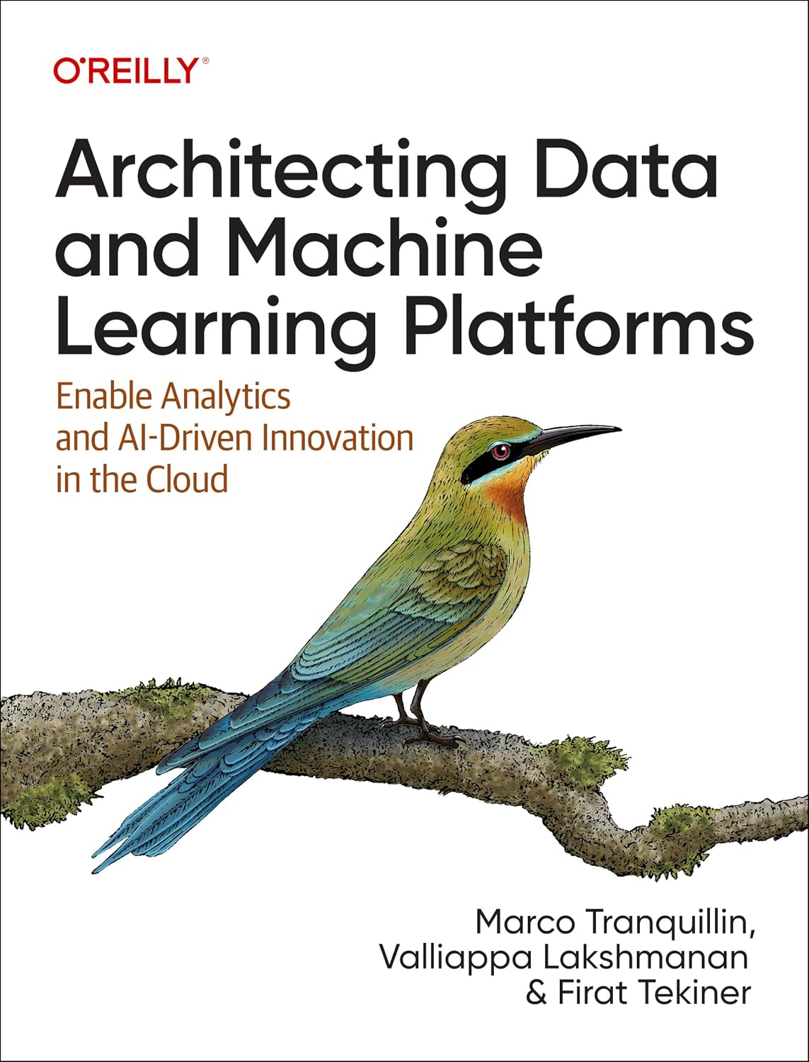 ler totalmente Architecting Data and Machine Learning Platforms: Enable Analytics and Ai-Driven Innovation in the Cloud
