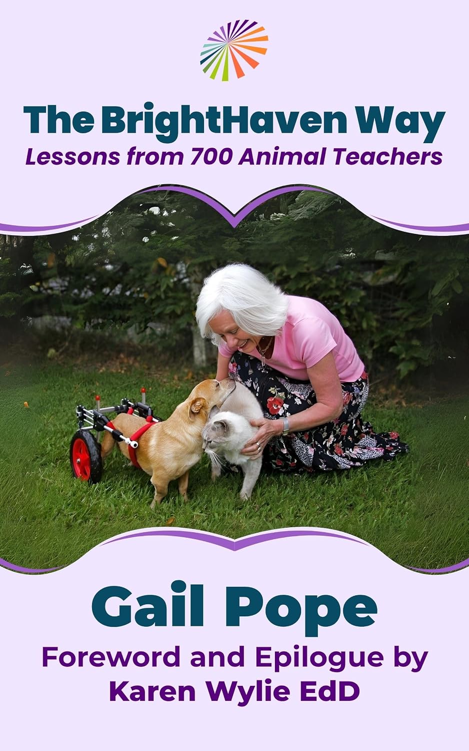 The BrightHaven Way: Lessons from 700 Animal Teachers (English Edition) baixar livro de graça