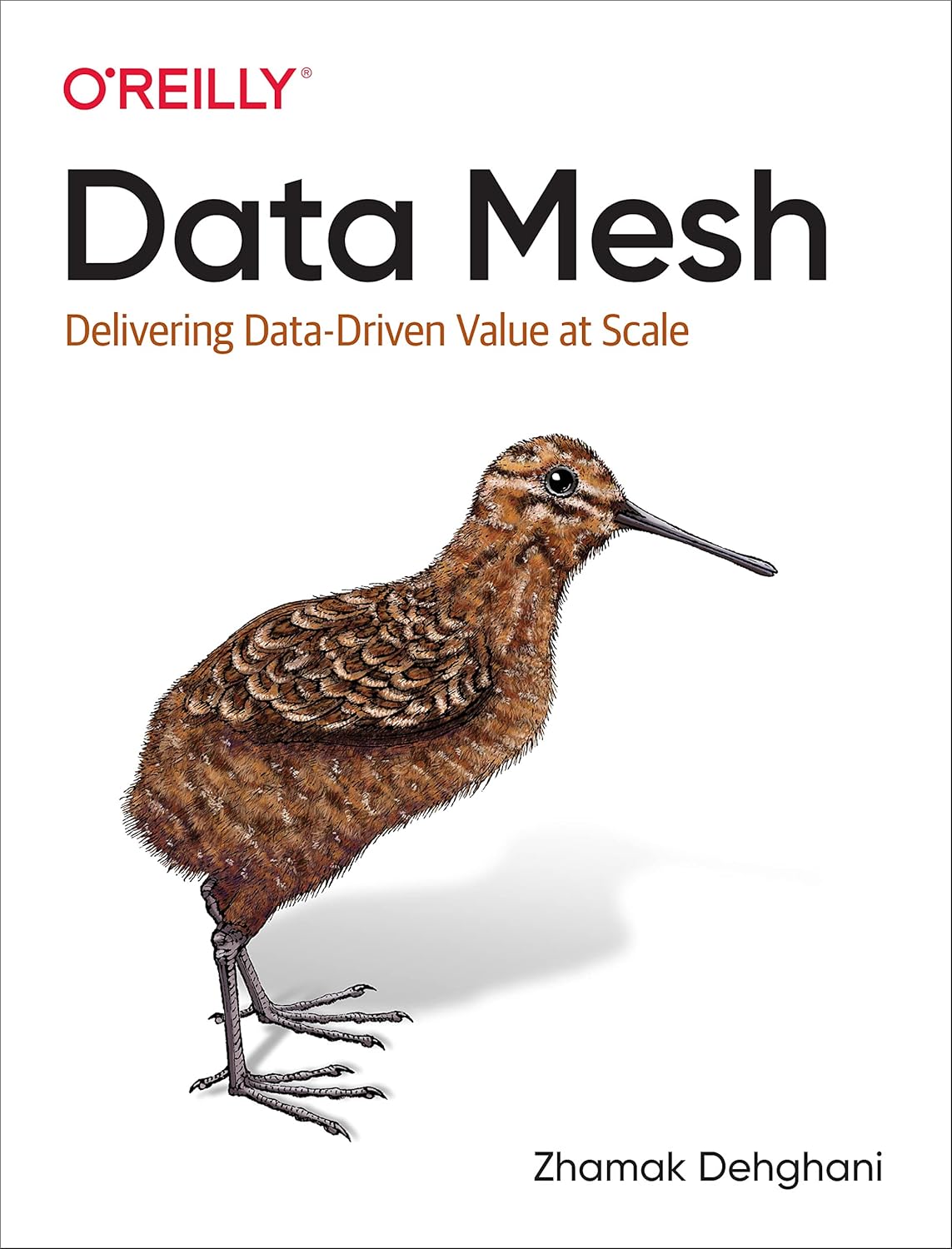 ler totalmente Data Mesh: Delivering Data-Driven Value at Scale