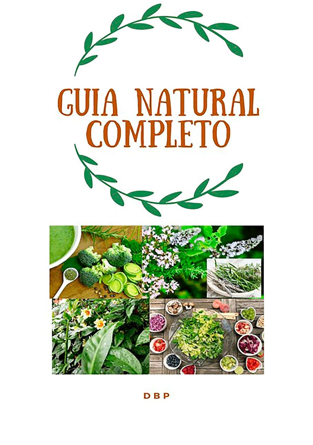 Guia Natural Completo baixar o livro de graça