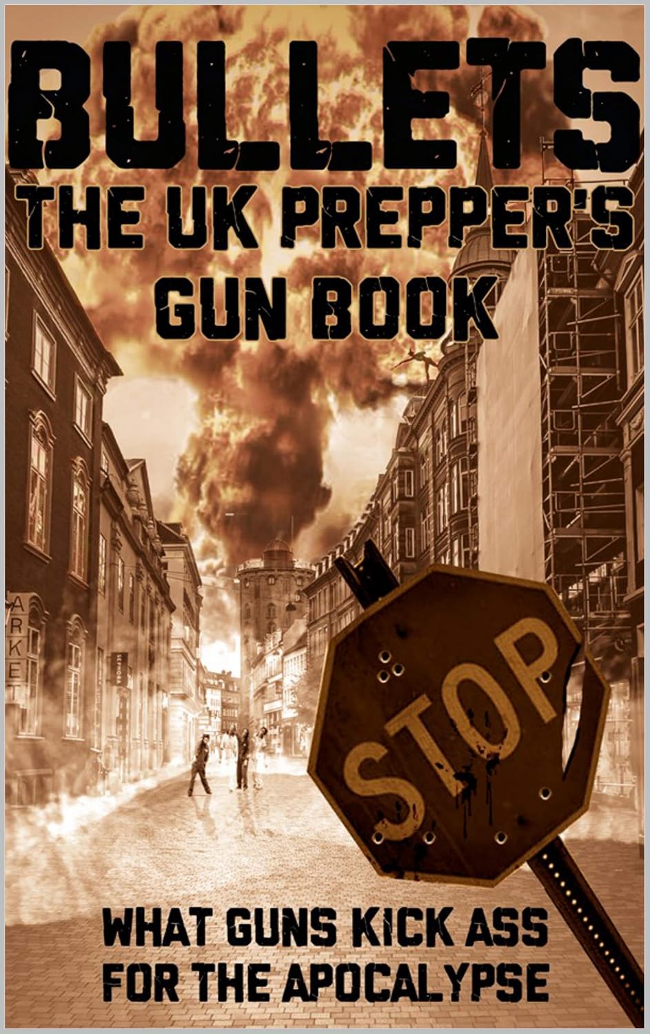 ler totalmente Bullets: The UK Prepper's Gun Book (English Edition)