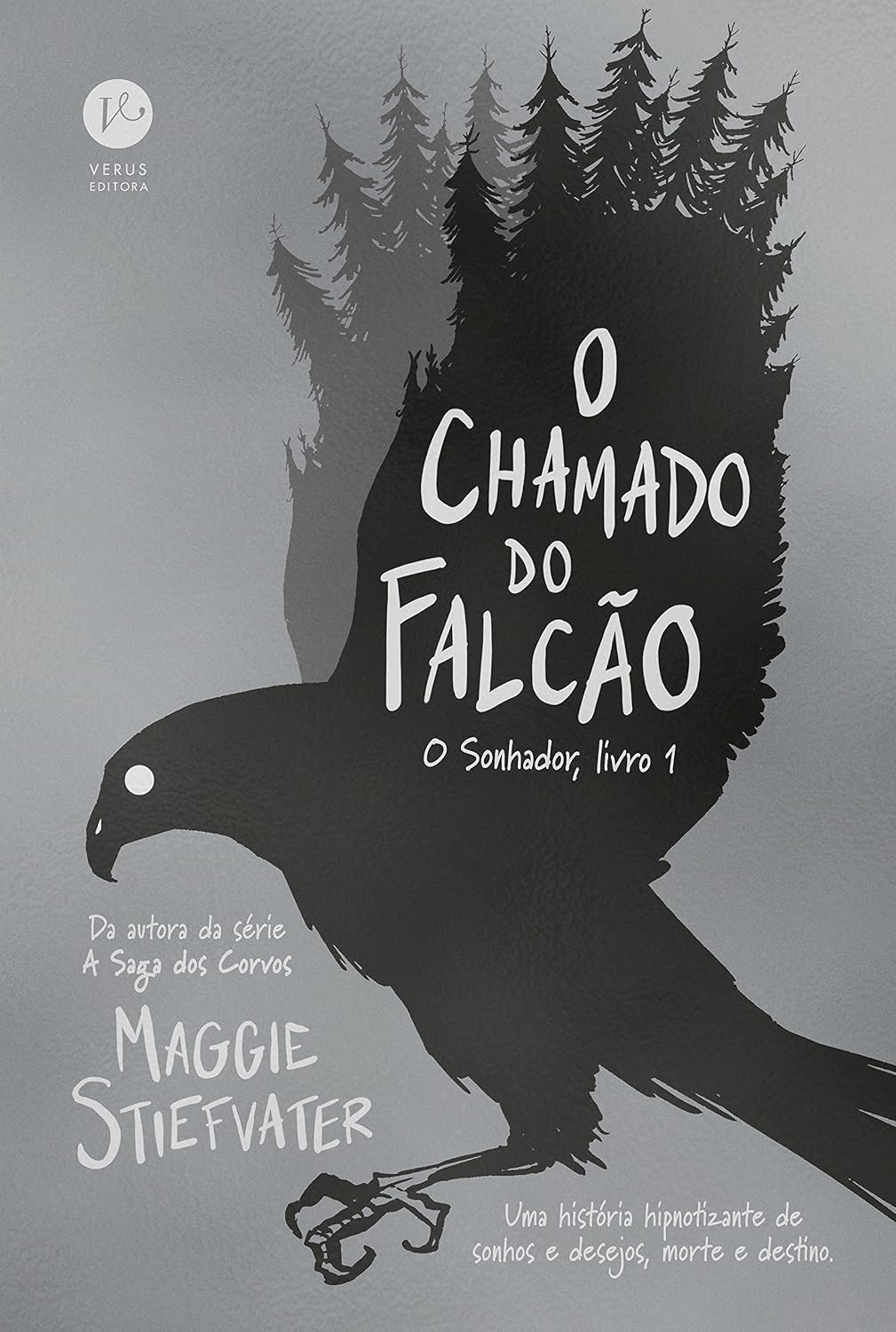 O chamado do falcão (Vol. 1 O Sonhador) baixar livro de graça