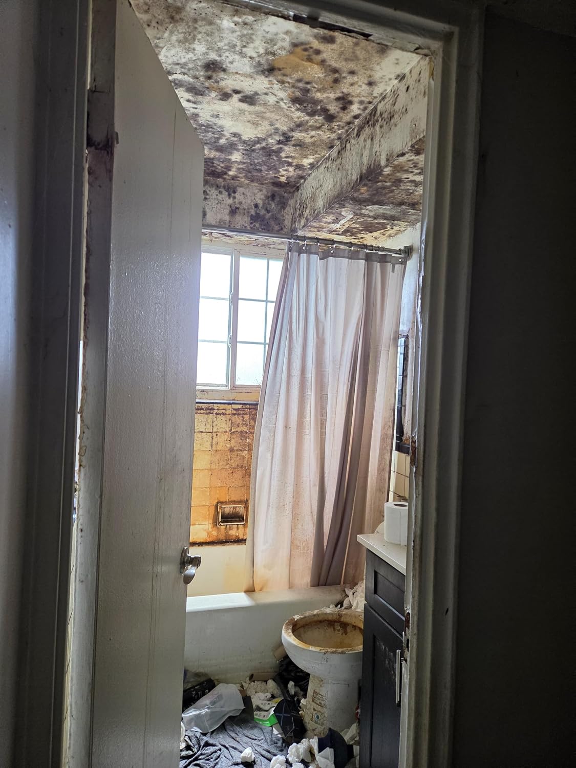 The Home Mold Handbook (English Edition) baixar livro de graça