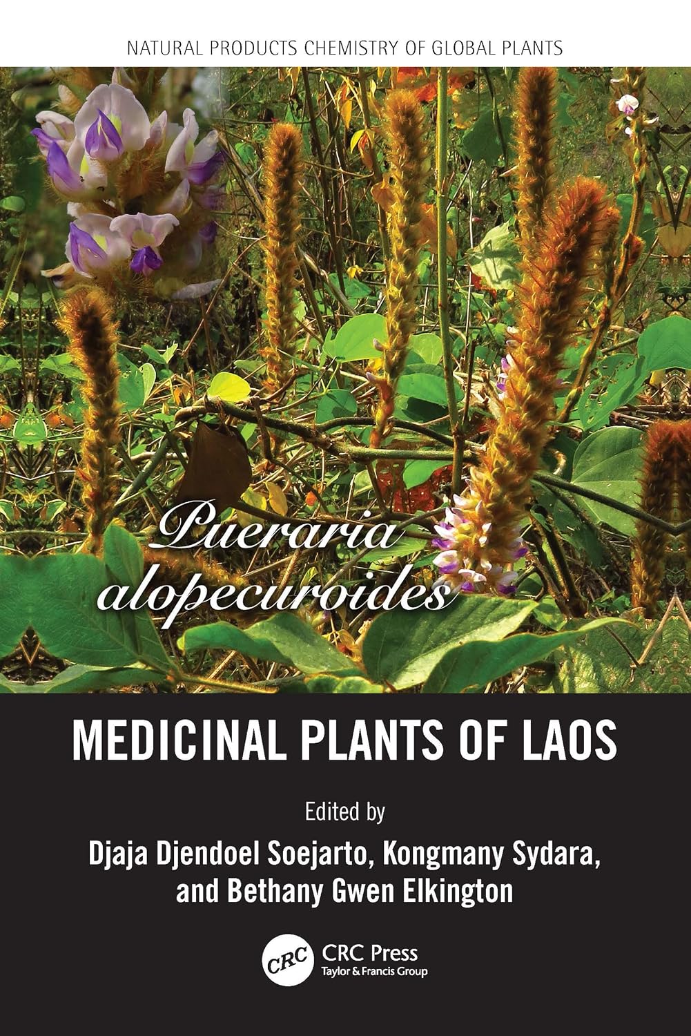 ler totalmente Medicinal Plants of Laos (Natural Products Chemistry of Global Plants) (English Edition)