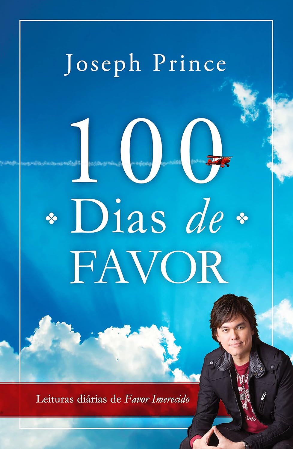 100 Dias de Favor baixar o livro de graça