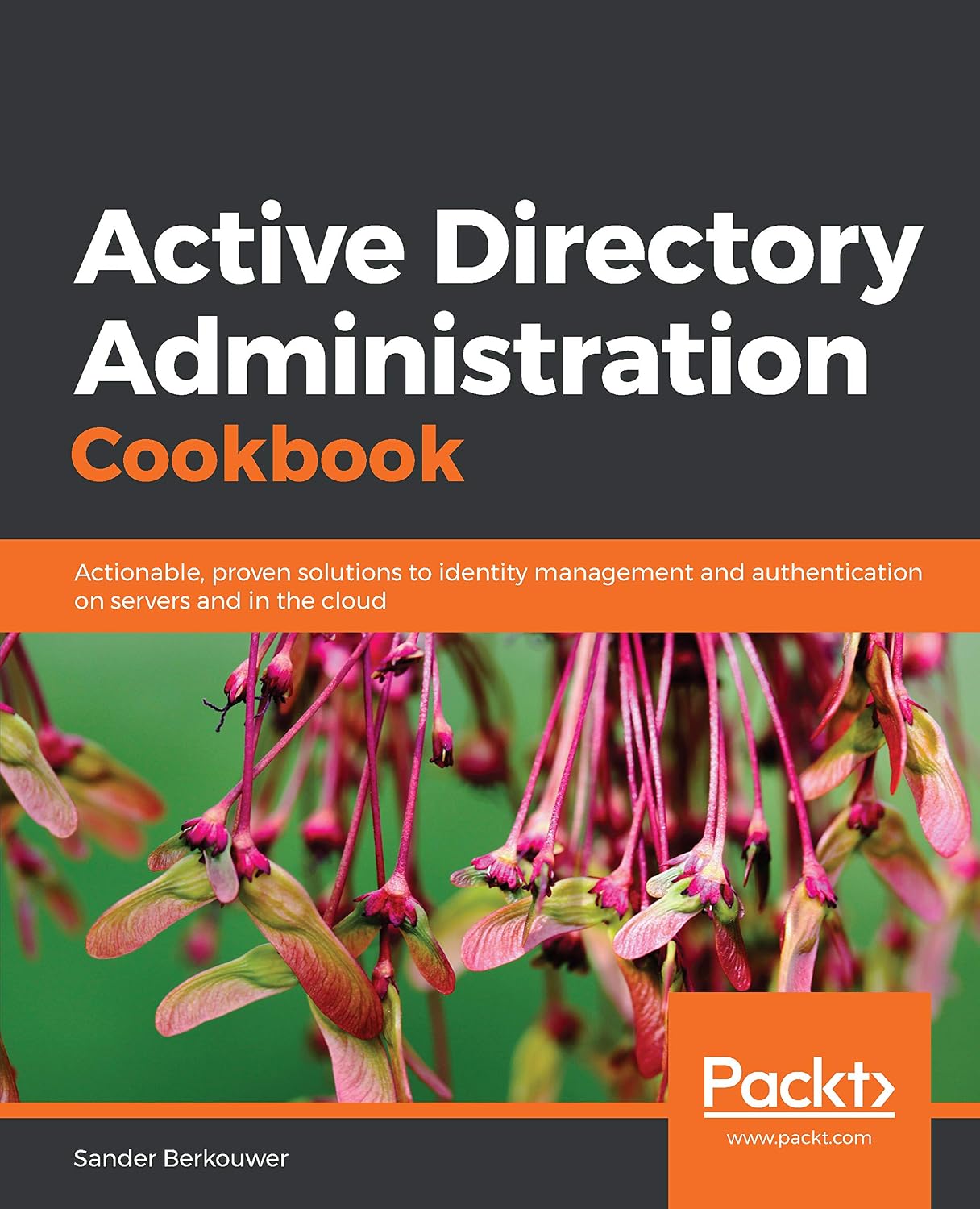 Active Directory Administration Cookbook: Actionable, proven solutions to identity management and authentication on servers and in the cloud (English Edition) baixar livro de graça