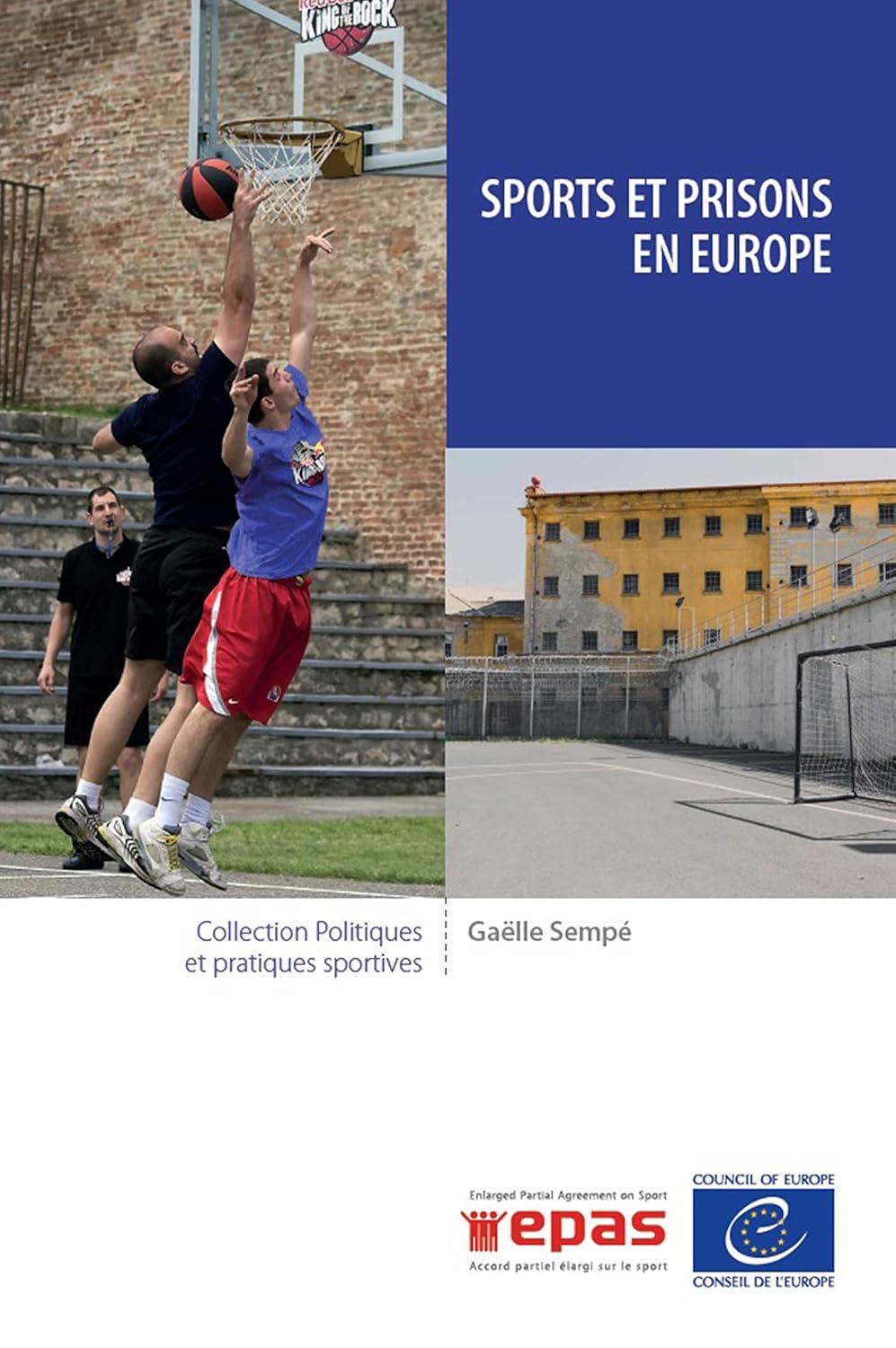 Sports et prisons en Europe (Politiques et pratiques sportives) (French Edition) baixar o livro de graça