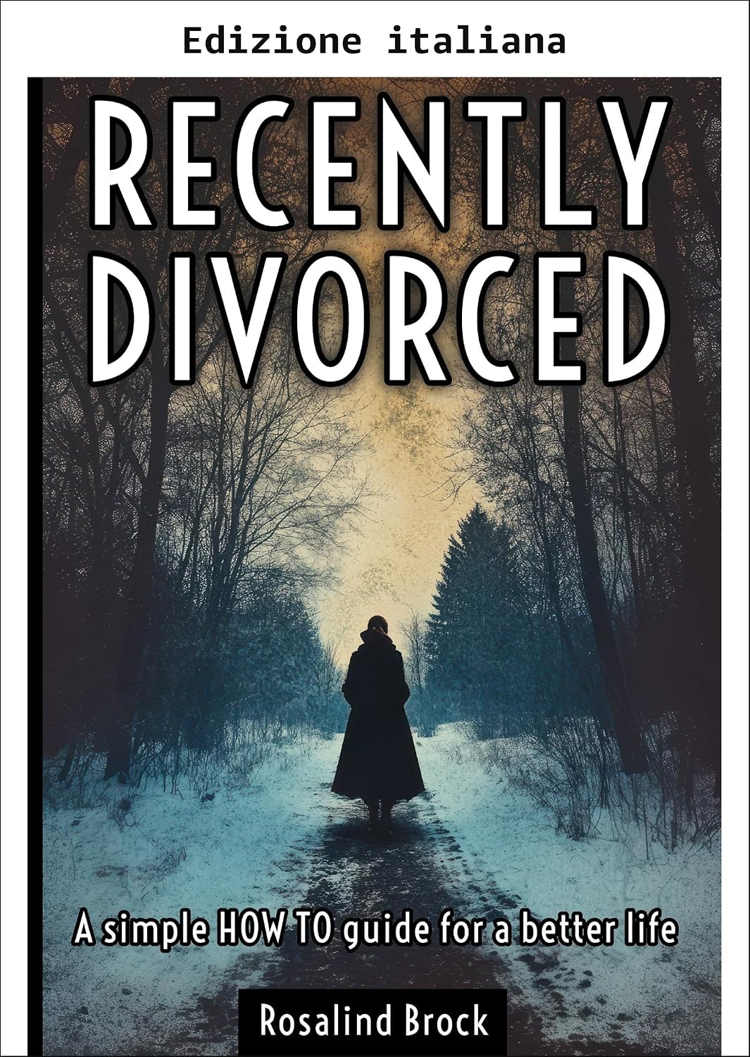 Dopo il divorzio - una semplice guida pratica per una vita migliore (Italian Edition) baixar o livro de graça