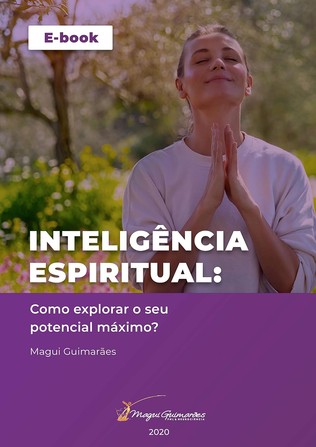 Inteligência Espiritual - Magui Guimarães: PNL baixar livro de graça