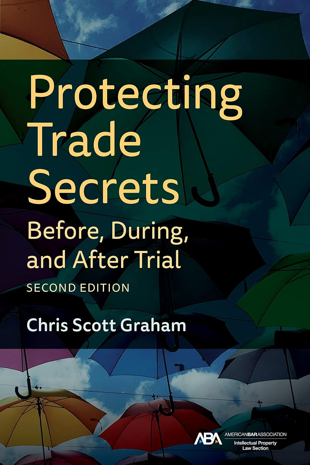 Protecting Trade Secrets Before, During, and After Trial, Second Edition (English Edition) baixar livro de graça