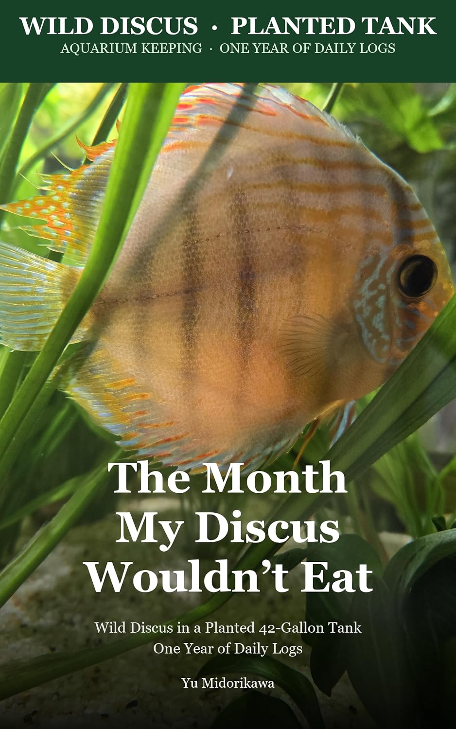 ler totalmente The Month My Discus Wouldn't Eat: Wild Discus in a Planted 42-Gallon Tank: One Year of Daily Logs (Wild Discus Tank Logs Book 1) (English Edition)