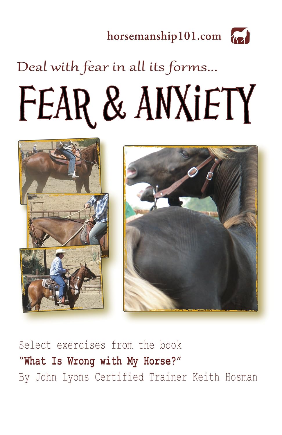 Fear and Anxiety (What Is Wrong with My Horse? Book 3) (English Edition) baixar livro de graça