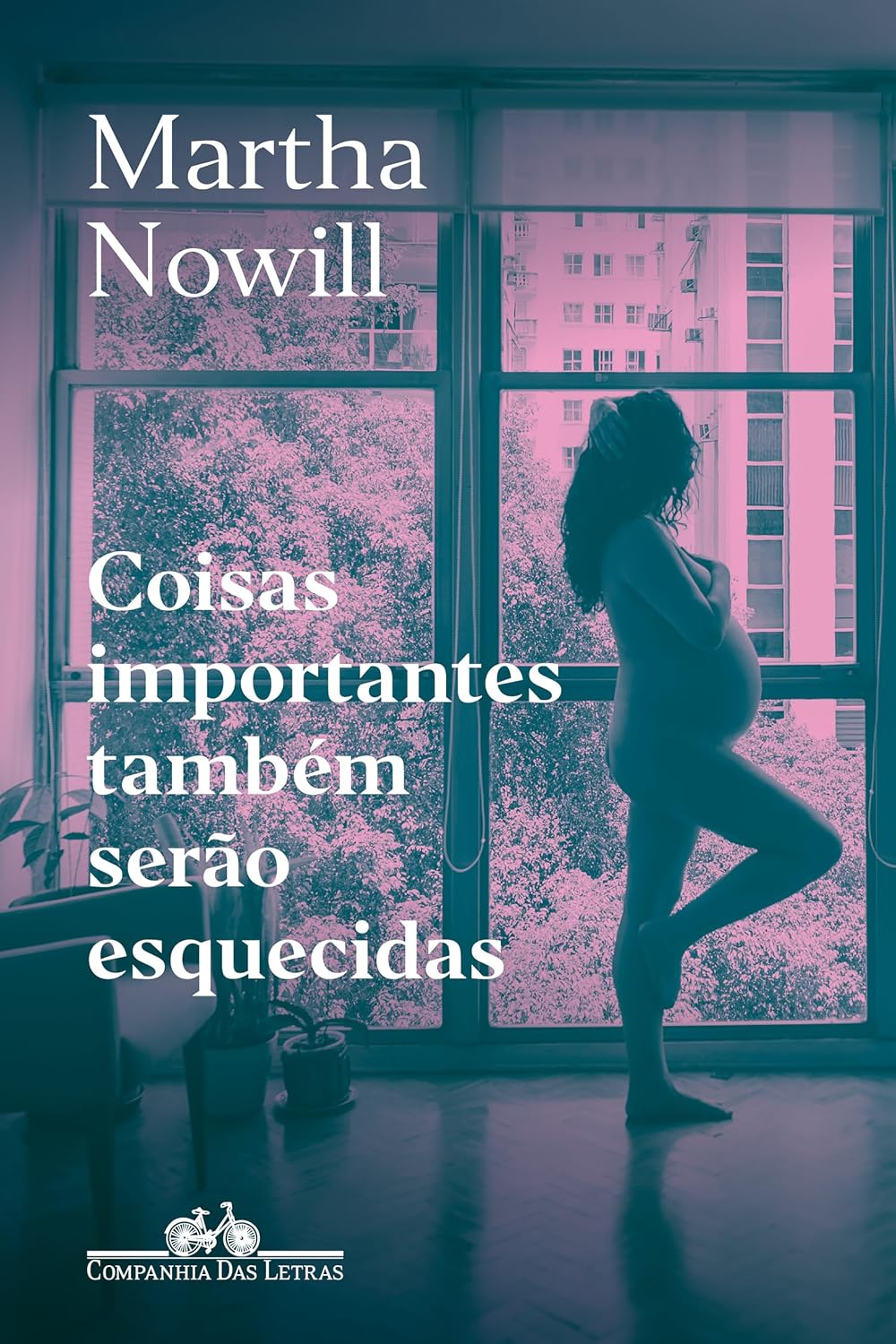Coisas importantes também serão esquecidas: Um diário baixar o livro de graça