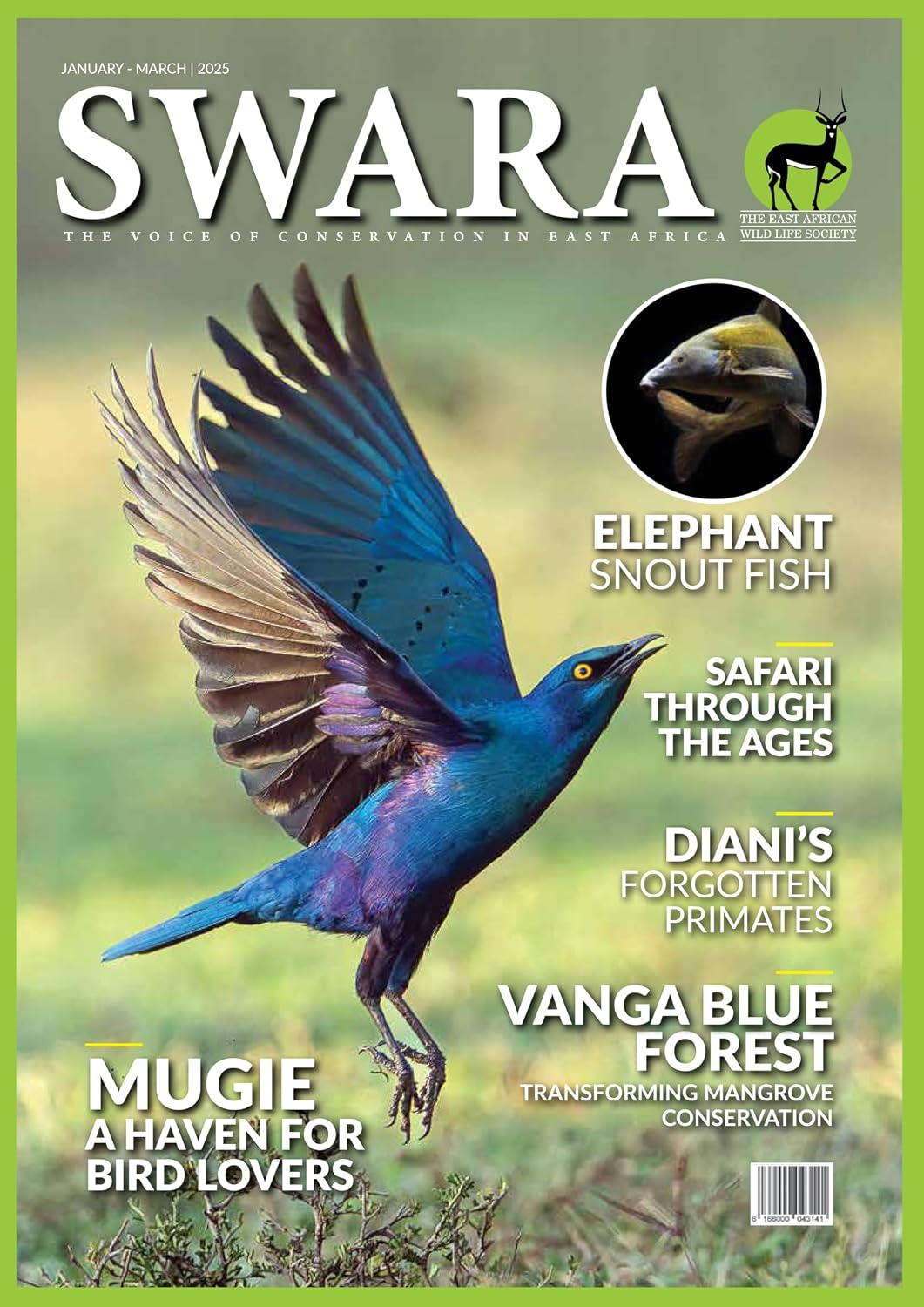 SWARA (English Edition) baixar o livro de graça