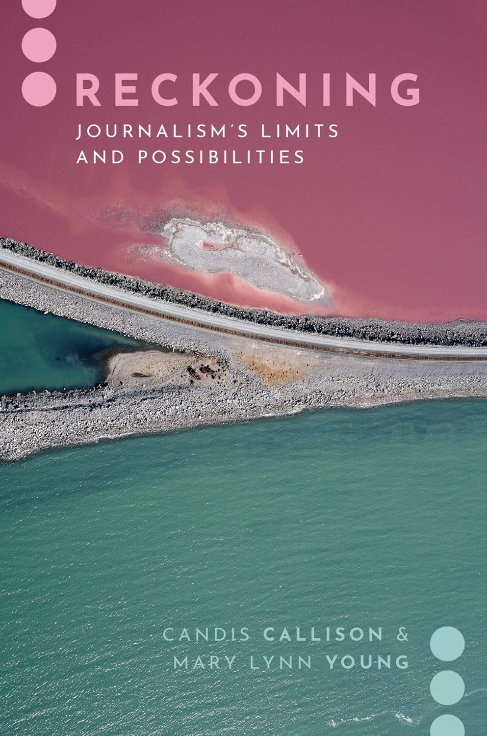Reckoning: Journalism's Limits and Possibilities (Journalism and Political Comm Unbound) (English Edition) baixar livro de graça