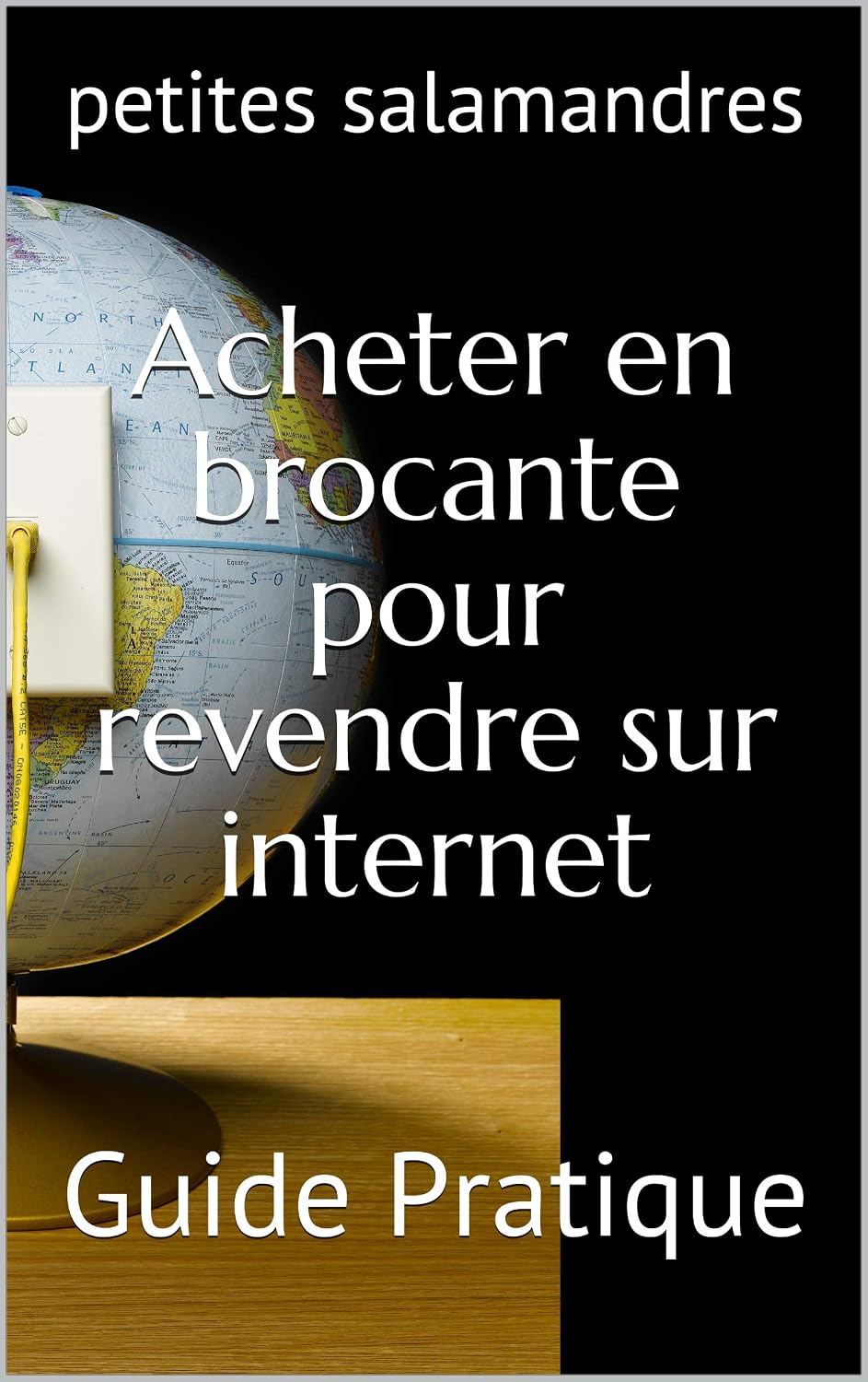 Acheter en brocante pour revendre sur internet: Guide Pratique (French Edition) baixar livro de graça