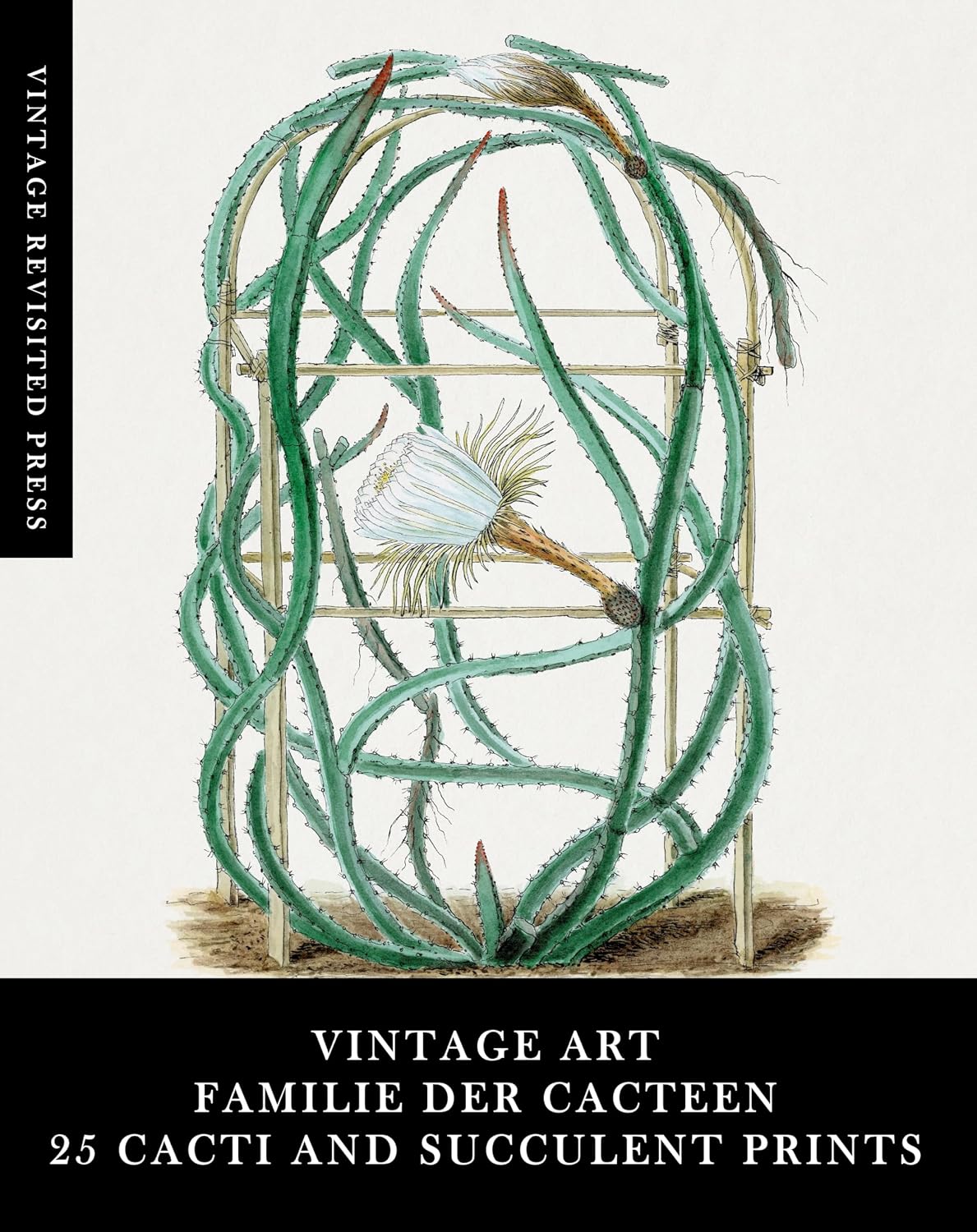 ler totalmente Vintage Art: Familie Der Cacteen: 25 Cacti and Succulent Prints: Ephemera for Framing, Collages and Scrapbooks (English Edition)