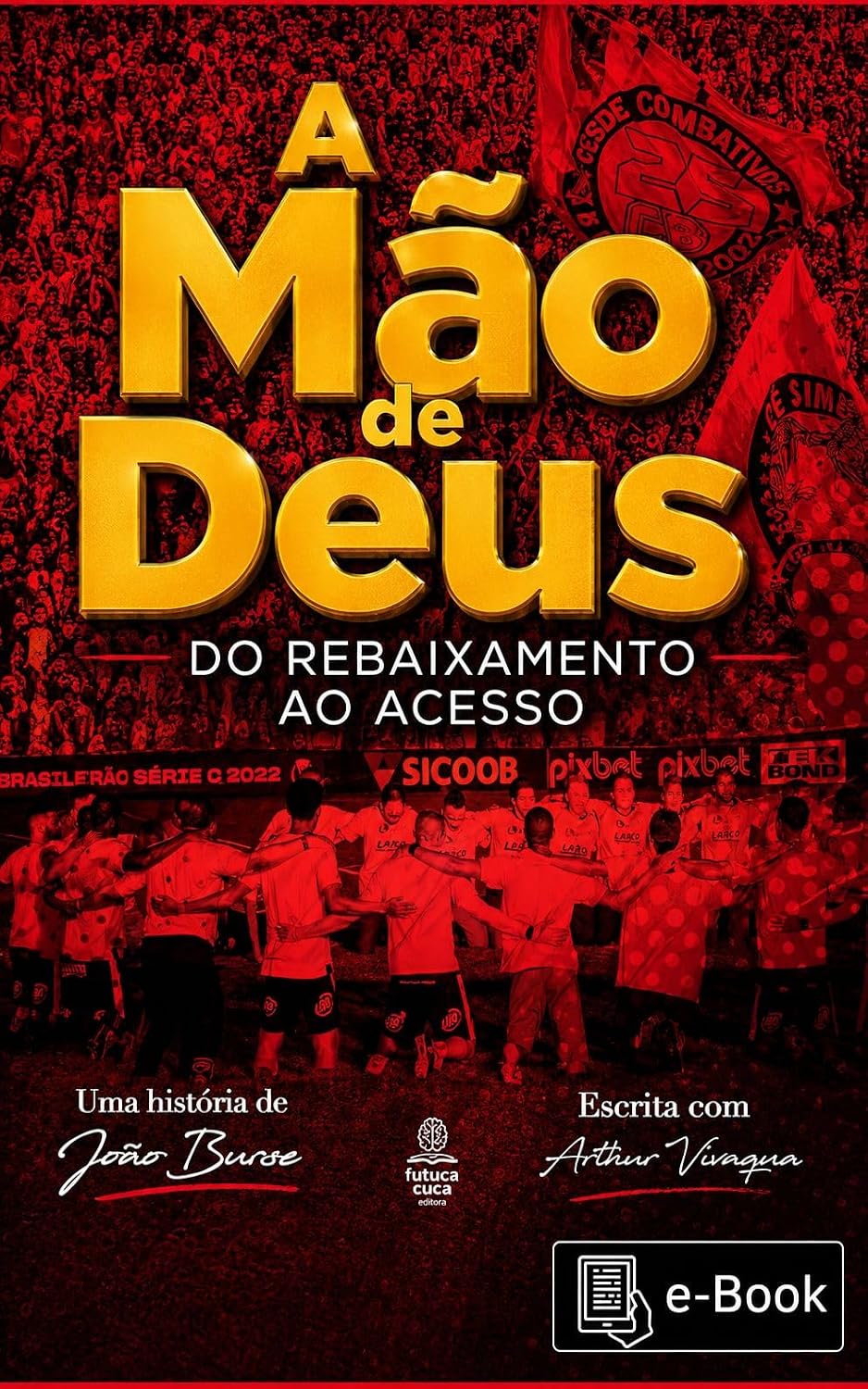 A MÃO DE DEUS DO REBAIXAMENTO AO ACESSO baixar o livro de graça
