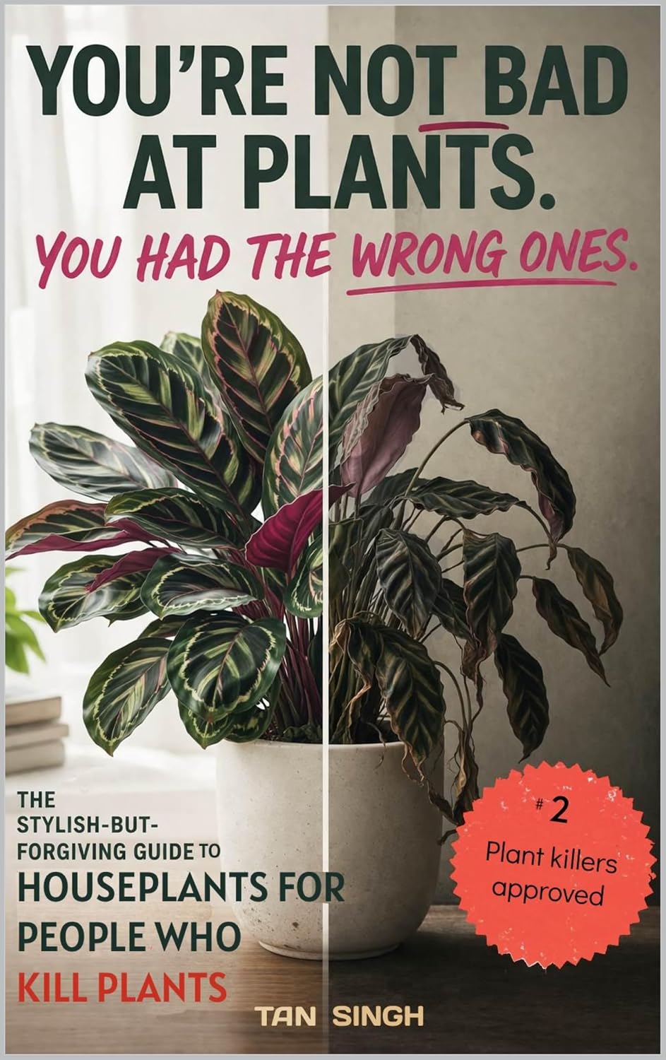 Houseplants for People Who Kill Plants: Low-Maintenance Indoor Plant Guide for Renters, and Beginners (English Edition) baixar livro de graça